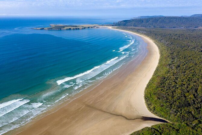 Dunedin to Te Anau via the Catlins One Way Small Group Tour - An In-Depth Look at the Tour Experience