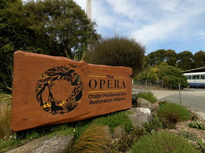 Dunedin: Wildlife and Penguin Tour - A Practical, Honest Look at the Dunedin Wildlife and Penguin Tour