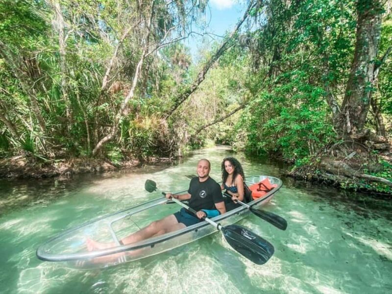 Dunnellon: Rainbow Springs Clear Kayak Guided Tour - Wildlife and Ecosystem Highlights