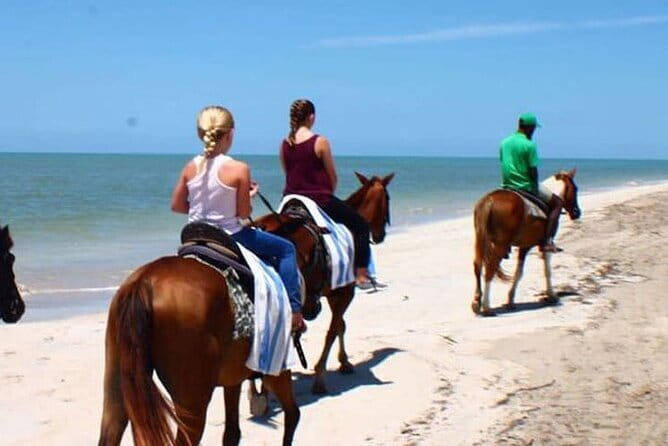 Dunn's River Falls and Horseback Riding Tour from Montego Bay - FAQ