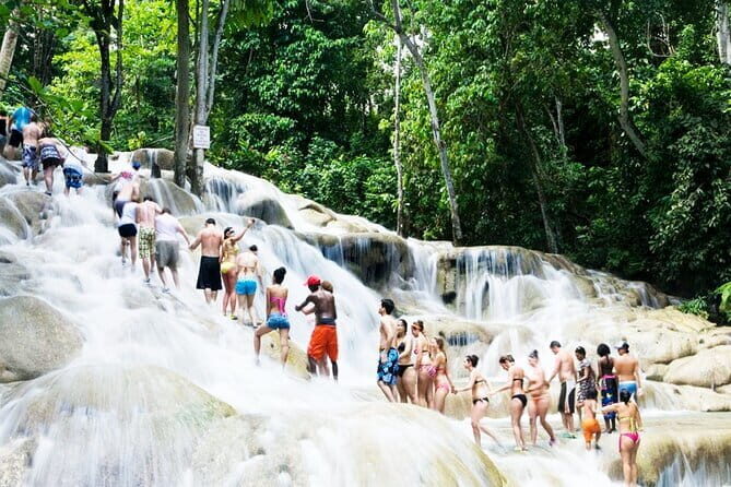 Dunn's River Falls and Horseback Riding Tour from Montego Bay - A Deep Dive into the Experience