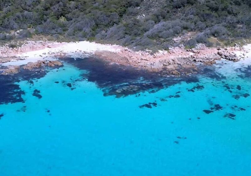 Dunsborough: Geographe Bay Eco & Snorkel Boat Tour - Price and Value