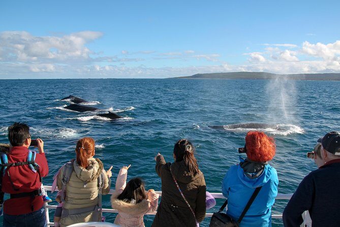 Dunsborough Whale Watching Eco Tour - Key Points
