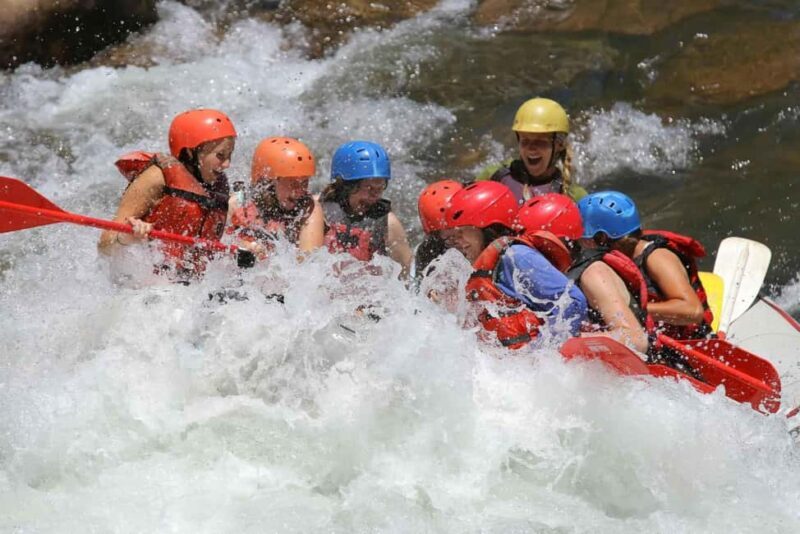 Durango 1/4 Day Rafting Trip - Lower Animas River - Who Will Love This Tour?