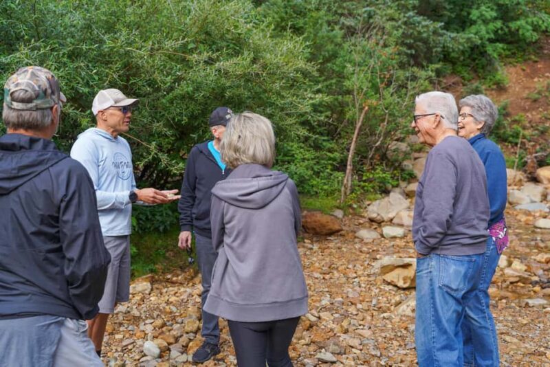 Durango Half Day Jeep Tour - La Plata Canyon - Exploring La Plata Canyon: What to Expect