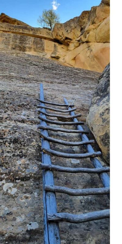 Durango ~ Mesa Verde Express Tour & Cliff Palace Ticket - FAQs