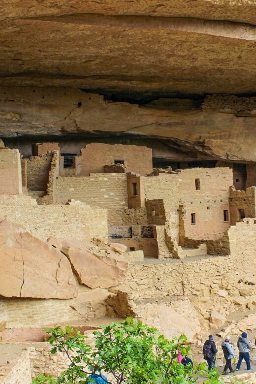 Durango: Mesa Verde National Park, Cliff Palace Tour w/Lunch - Who Will Love This Tour?