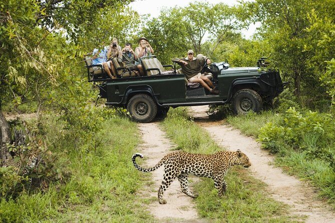 Durban: Big 5 Luxury Safari at an Award Winning Game Reserve  Zeiss Binoculars - An In-Depth Look at the Safari Experience