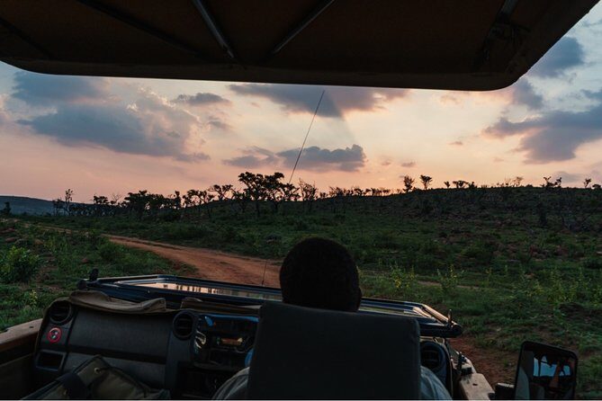 Durban: Big 5 Luxury Safari at an Award Winning Game Reserve  Zeiss Binoculars - Pricing and Value