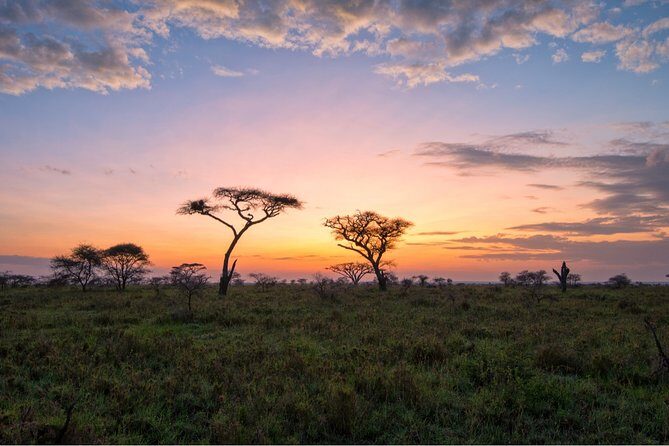 Durban: Big 5 Luxury Safari at an Award Winning Game Reserve  Zeiss Binoculars - Practical Tips for the Trip