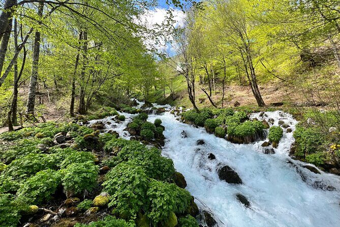 Durmitor - Black Lake & Tara River Canyon - North Montenegro tour - An In-Depth Look at the North Montenegro Experience