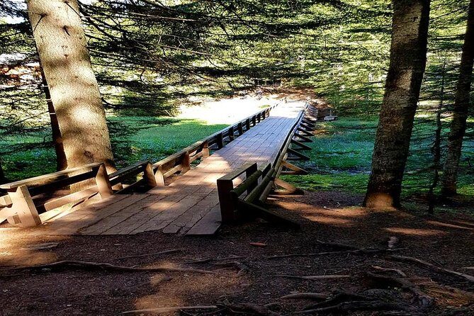 Durmitor National Park hiking tour - easy to moderate - In-Depth Review of the Durmitor Hiking Tour