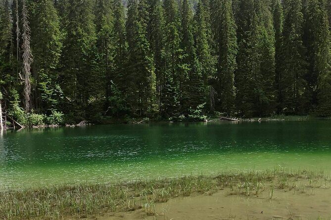 Durmitor National Park hiking tour - easy to moderate - Why This Tour Offers Excellent Value