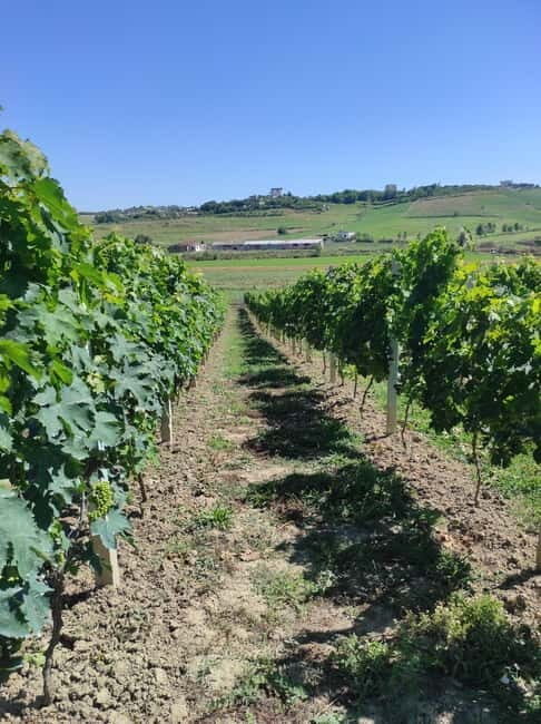 Durres: Where History Meets Wine - FAQs