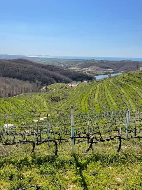 Durres & Wine Tasting Tour - Key Points