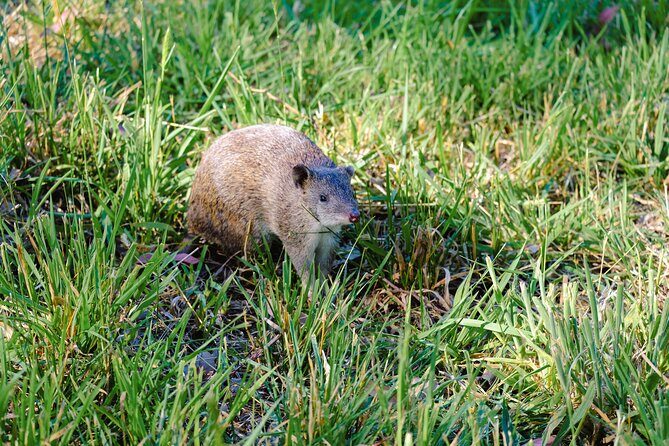 Dusk Discovery Tour - Practical Details