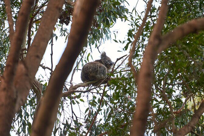 Dusk Discovery Tour - Final Thoughts