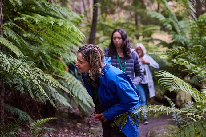 Dusk Discovery Tour - FAQs