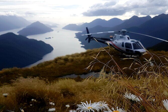 Dusky Sound // Helicopter Scenic Flight - Remote Landings: Stepping into Untouched Wilderness