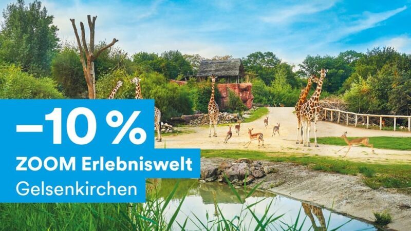 DüsseldorfCard Plus - Key Points