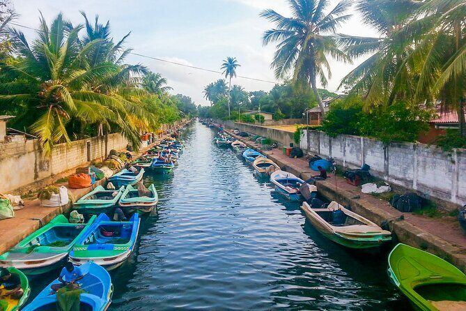 Dutch Canal Boat Tour from Negombo - Dutch Canal Boat Tour from Negombo: A Tranquil Journey Through History and Nature