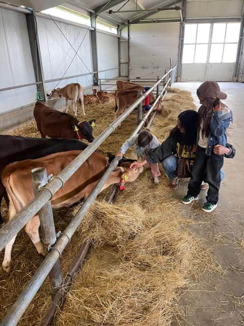 Dutch Countryside: , windmills, Villages, Cheese & Clogs - FAQ