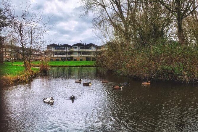 Dutch Windmills & Polder Walking Tour - Final Thoughts on the Dutch Windmills & Polder Walking Tour