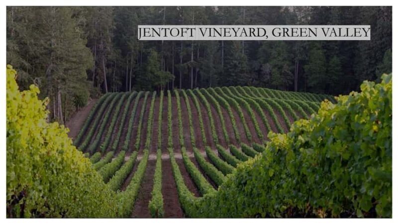 Dutton-Goldfield Winery: Pinot Noir Tasting - Who Should Consider This Tasting?