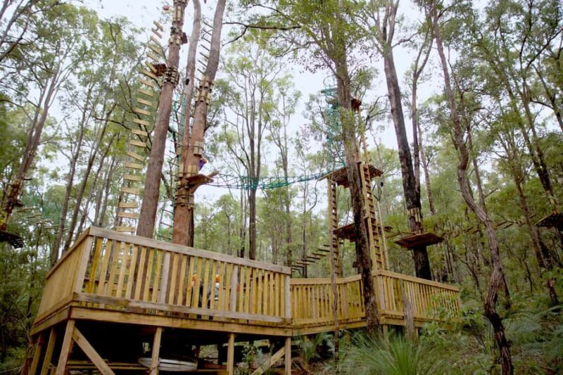 Dwellingup: Tree Ropes Course - An In-Depth Look at the Dwellingup Tree Ropes Course