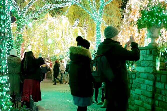 Dyker Heights Brooklyn Christmas Lights Walking Tour - Who Should Consider This Tour?