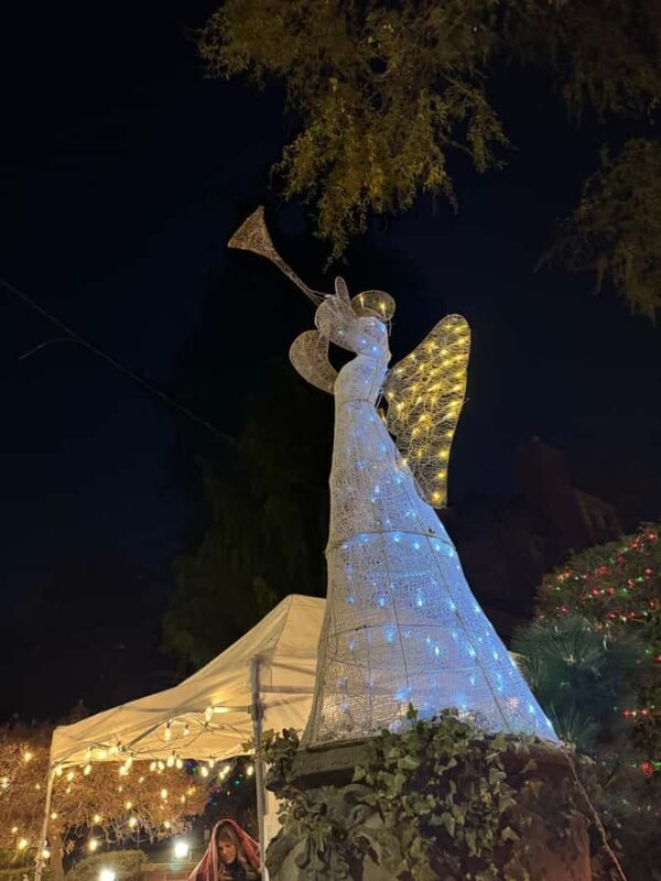 Dyker Heights Christmas Lights Bus Tour - Price and Value