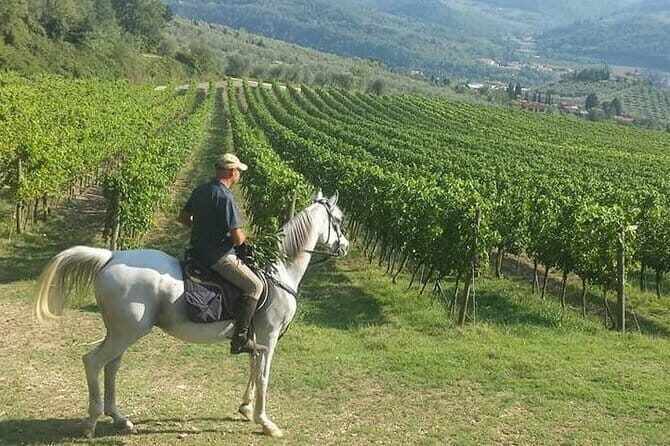 E-bike 2.5 hour Florence & Tuscany With Fresh Olive Oil and Bread - Who is This Tour Best For?