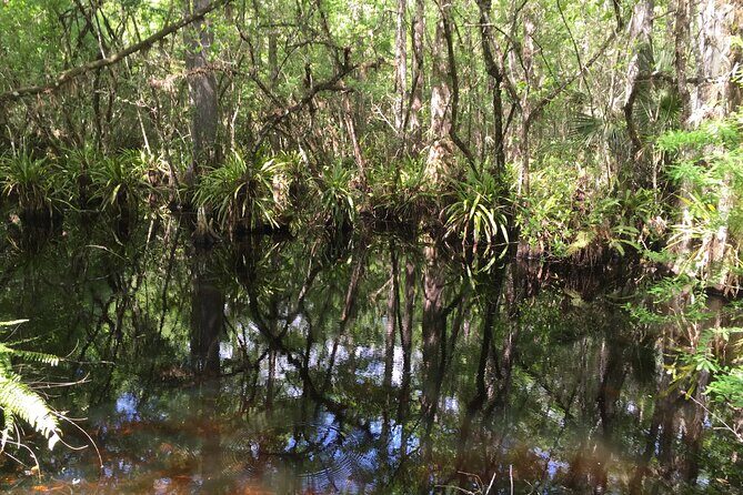 E-Bike Adventure - Fakahatchee Strand - Final Thoughts: Who Will Love This Tour?