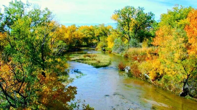 E-Bike & Brews: Denver's Platte River & Brewery E-Bike Tour - Key Points