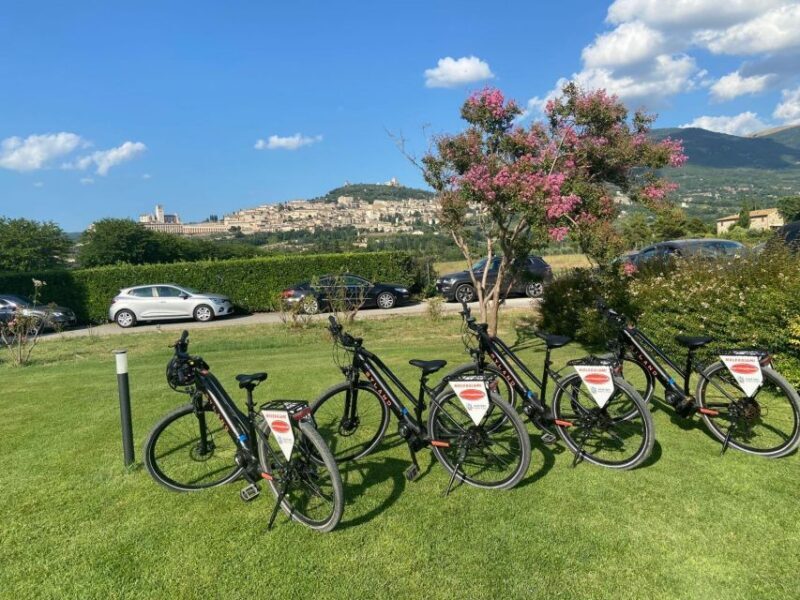E-bike Citybike Rental - full day - Key Points