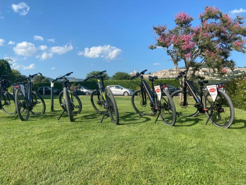 E-bike Citybike Rental - full day - Who Is This Tour Best For?