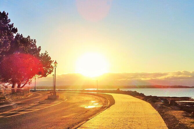 E-Bike Day Tour From Cavendish to Rustico - What Reviewers Say