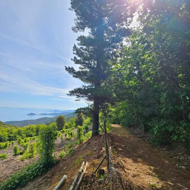 E bike Excursions and Lunch in Monte Capanne - The Sum Up