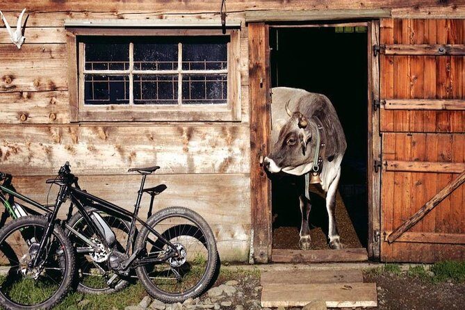 E-Bike Food and Wine Tour in the Sorrento Peninsula - An In-Depth Look at the Experience