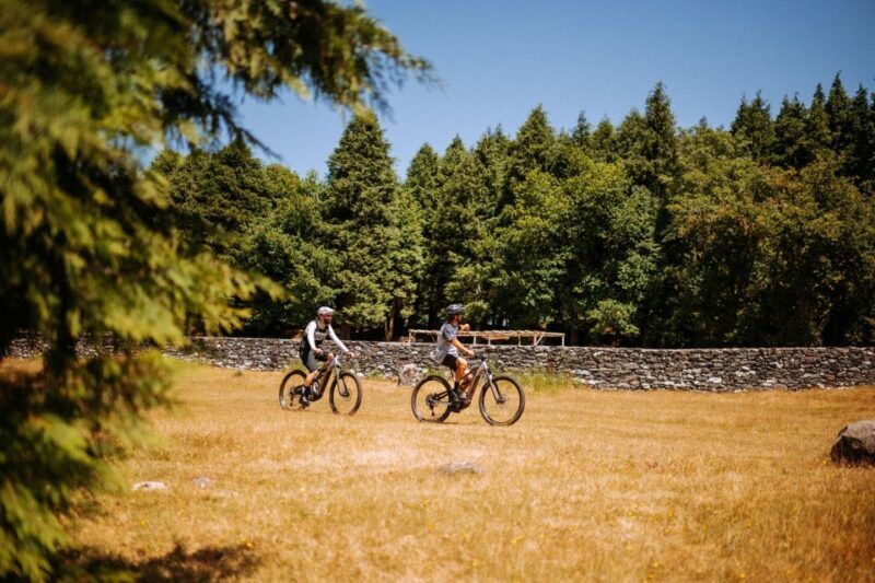E-Bike Guided Tour - Belle Vue Mountain Biking - Why This Tour Stands Out