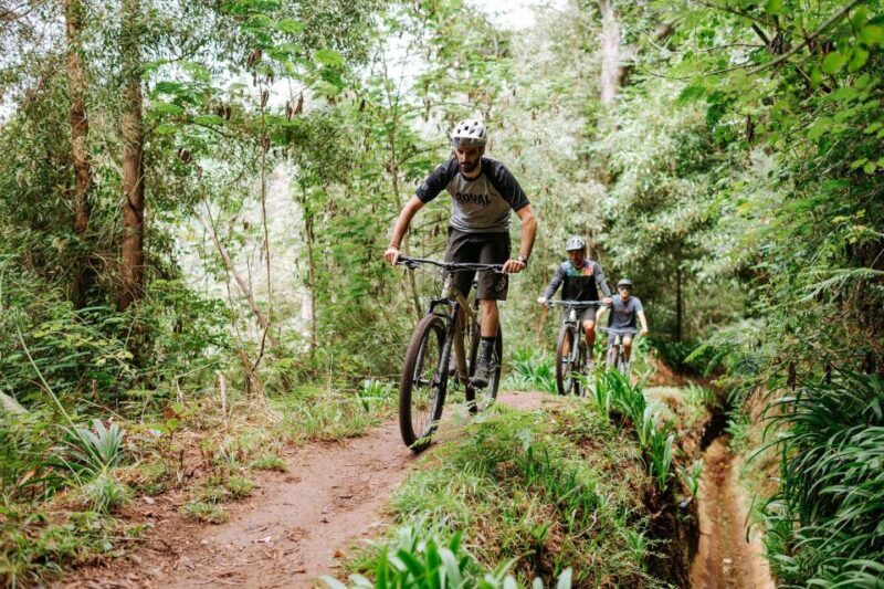 E-Bike Guided Tour - Mountain biking experience - Key Points