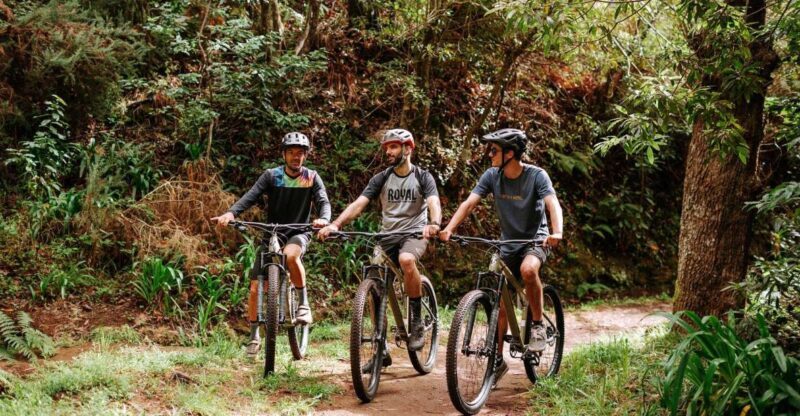 E-Bike Guided Tour - Mountain biking experience - Practical Tips for Future Riders