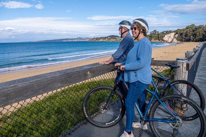 E-Bike Hire & Mountain Bike Hire Port of Eden - The Experience and Customer Feedback