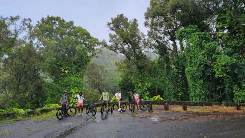 E-BIKE Honolulu Rainforest: 10-Miles of Smiles w/epic views - Introduction: A Relaxed Way to See Honolulu’s Natural Beauty