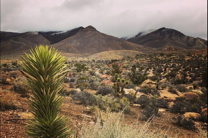 E Bike Rental in Las Vegas NV Ghost Town - Value for Money and Overall Experience