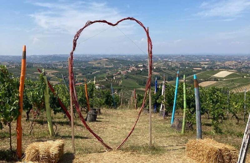 E-Bike Rental in Roero - What the Reviews Say