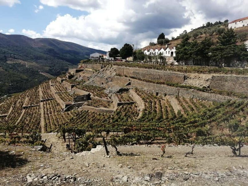e-Bike Through Douro Valley Wine Region for Half Day Tour - Key Points