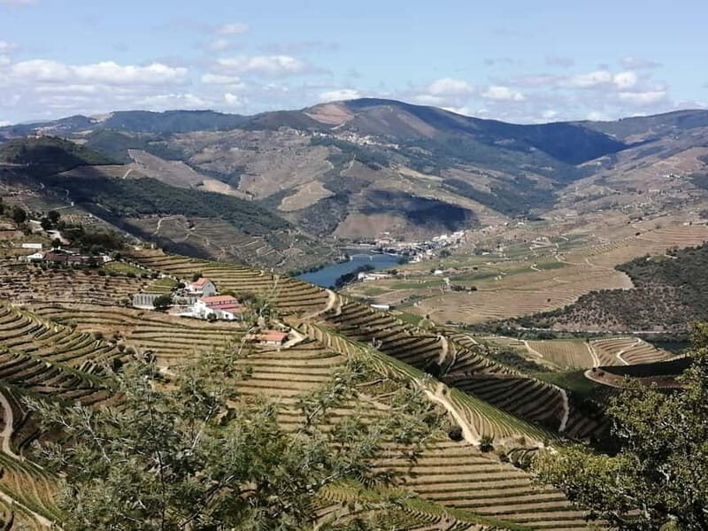 e-Bike Through Douro Valley Wine Region for Half Day Tour - What Makes This Tour Stand Out
