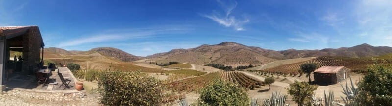 e-Bike Through Douro Valley Wine Region for Half Day Tour - What to Expect During the Tour