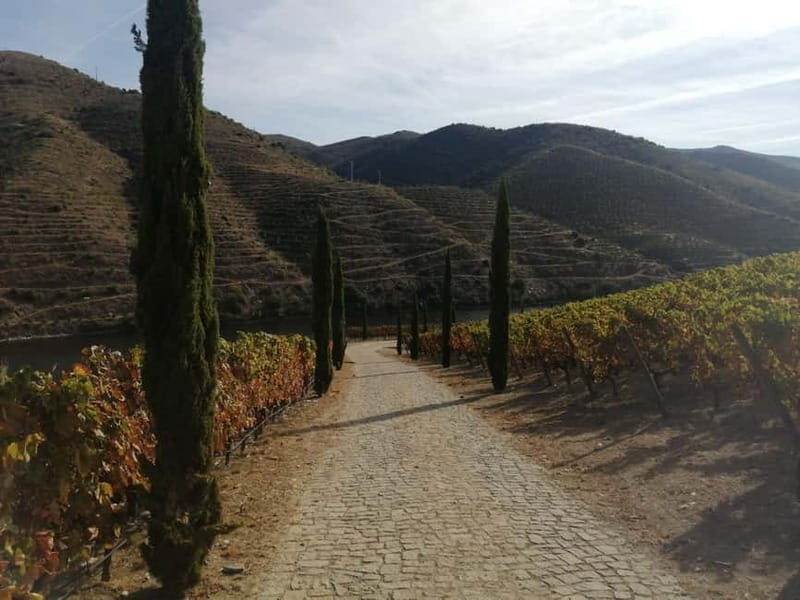 e-Bike Through Douro Valley Wine Region for Half Day Tour - Practical Details and Value